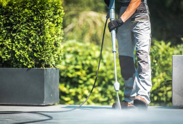 Best Solar Panel Cleaning  in Redway, CA